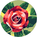 Cora Castillo profile picture