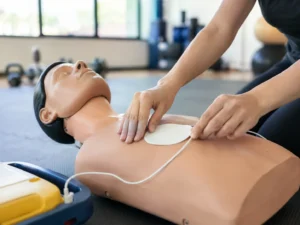 personal trainer certification gym bench personal trainer certification gym bench