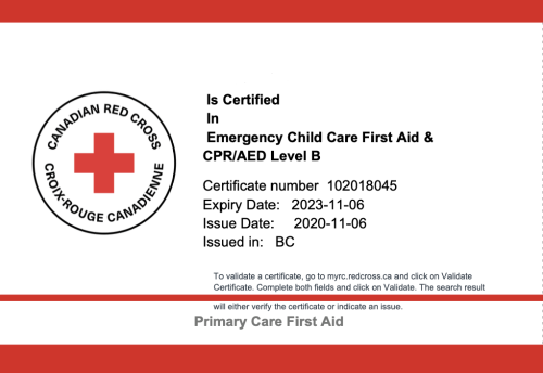 EmergencyChildCareCertificate