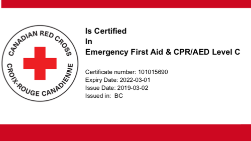 EmergencyFirstAidwithCPRAEDC